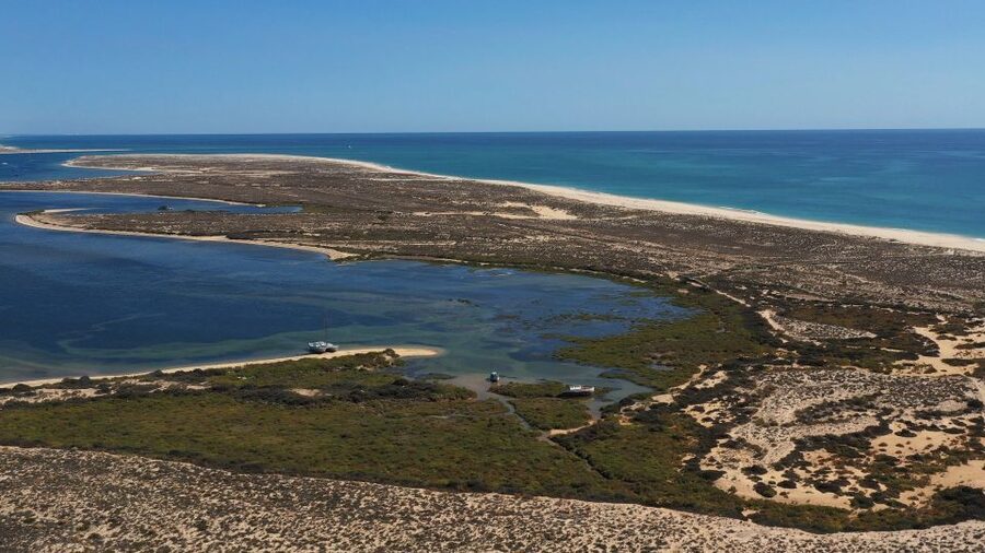 From Olhão: Ria Formosa 3-Island Full-Day Tour - Armona: a gentle first walk