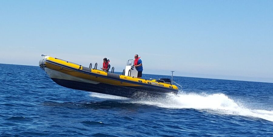 From Peniche: 1-Hour Cabo Carvoeiro Boat Tour - How much value do you get for $21?
