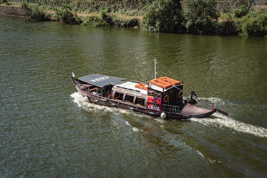 From Pinhão: Douro Valley Rabelo Boat Tour with Audio Guide - Who should book this Douro cruise?