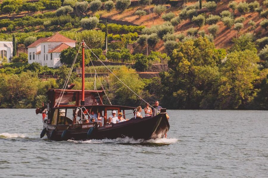 From Pinhão: Douro Valley Rabelo Boat Tour with Audio Guide - Is $17 good value for an hour?
