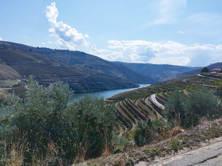 From Pinhão: Douro Valley Tour w/ Wine Tasting and Boat Trip - Practical details that improve the day