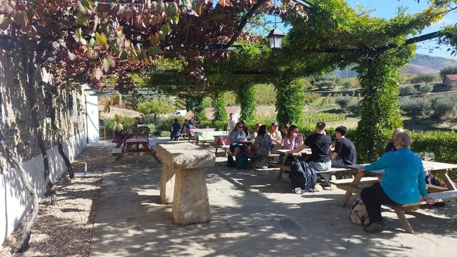 From Pinhão: Douro Valley Tour w/ Wine Tasting and Boat Trip - Should you book the Pinhão Douro Valley tour?