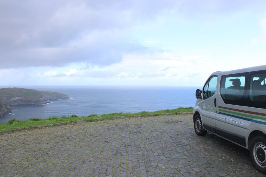 From Ponta Delgada: Lagoa do Fogo & Hot Springs Day Trip - Gorreana Tea Factory and Europe’s oldest tea plantation