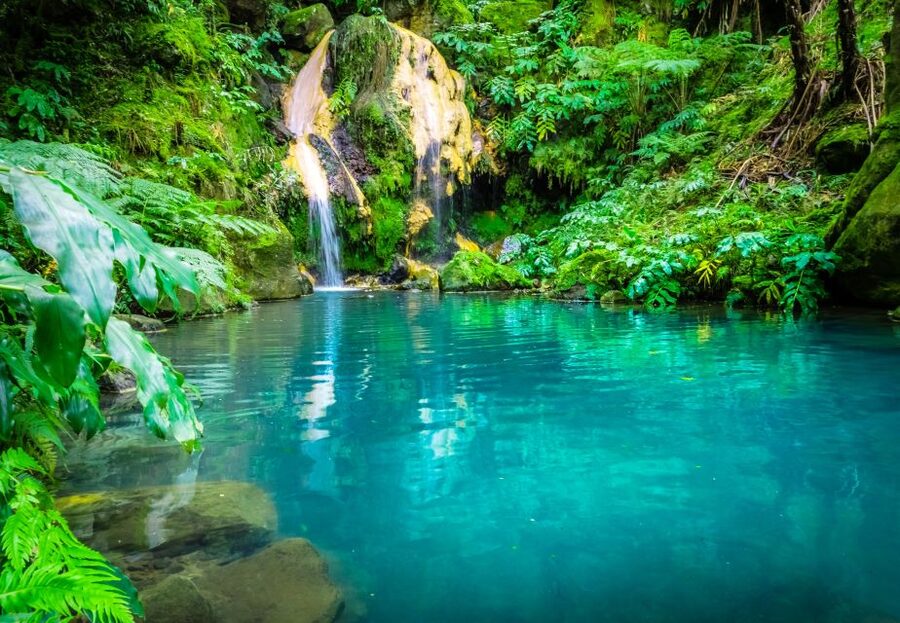 From Ponta Delgada: Lagoa do Fogo & Hot Springs Day Trip - What the guide adds to the day