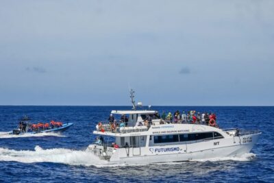 Whale and Dolphin Watching Trip
