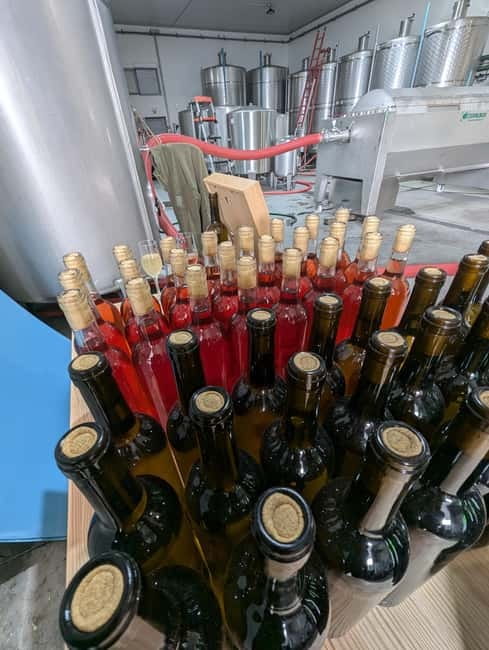From Porto: 2 Wine Regions, Farm-to-Table Lunch & Boat - Free time and the Pinhão boat cruise