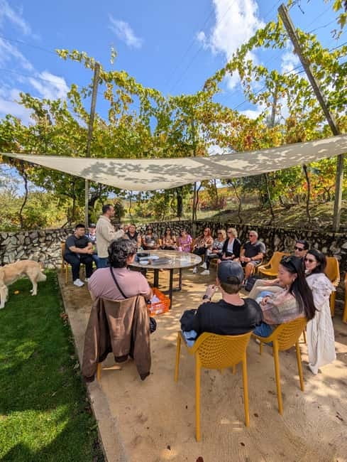 From Porto: 2 Wine Regions, Farm-to-Table Lunch & Boat - How much value do you get for $127?