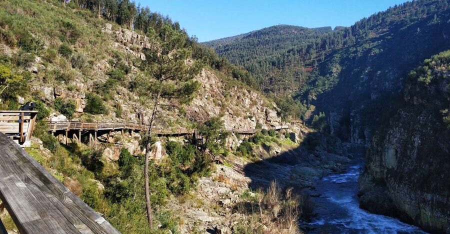 From Porto: Arouca 516 and Paiva Walkways Guided Day Trip - Why this makes a strong day trip from Porto