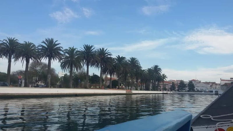From Porto: Aveiro & Coimbra Tour with Moliceiro Boat Cruise - The road from Porto to Aveiro