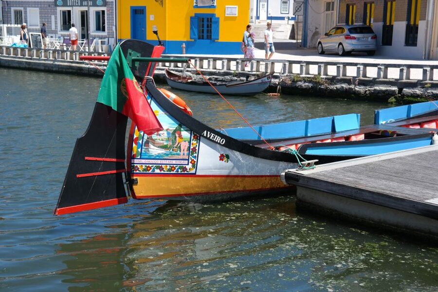 From Porto: Aveiro Half-Day Tour with 1-Hour Cruise - Churches, architecture, and quick photo stops