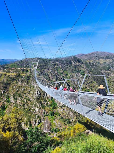 From Porto: Aveiro, Paiva Walkways and Arouca 516 Footbridge - Key points at a glance