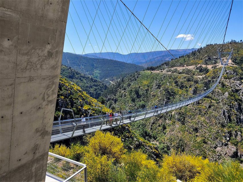 From Porto: Aveiro, Paiva Walkways and Arouca 516 Footbridge - Is $142 a good value?