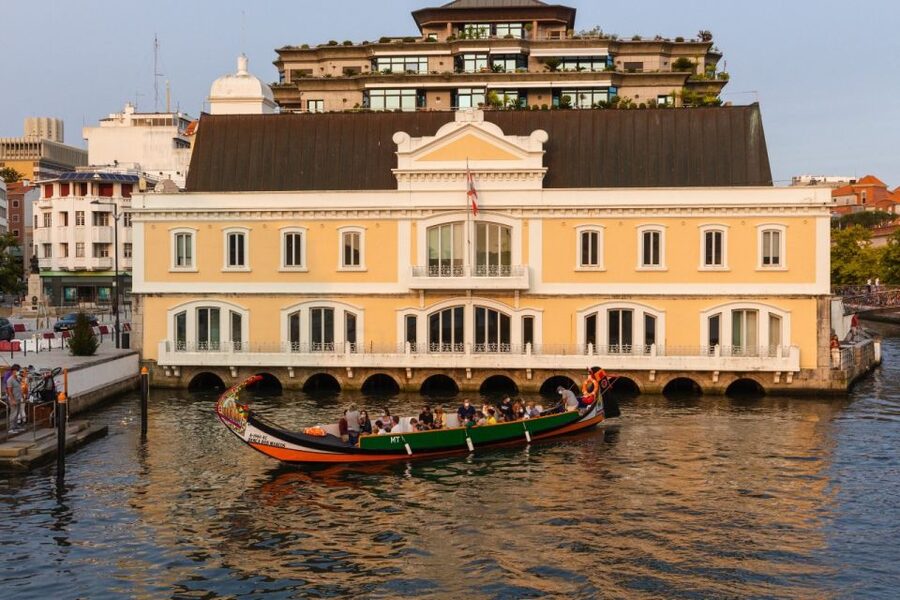 From Porto: Aveiro Private Guided Day Trip - Aveiro’s canals, bridges, and moliceiro boats