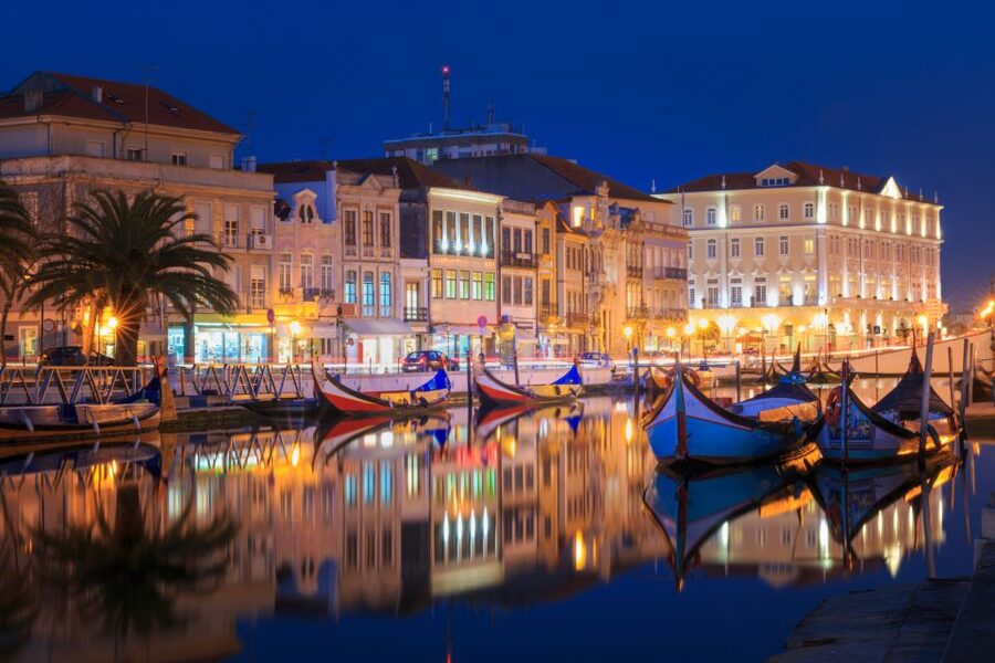 From Porto: Aveiro Private Guided Day Trip - Fish market, Art Nouveau details, and Saint Joanna