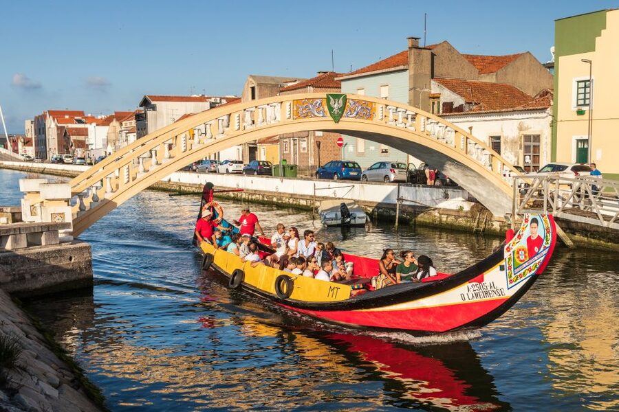 From Porto: Aveiro Private Guided Day Trip - What the guide adds to the day