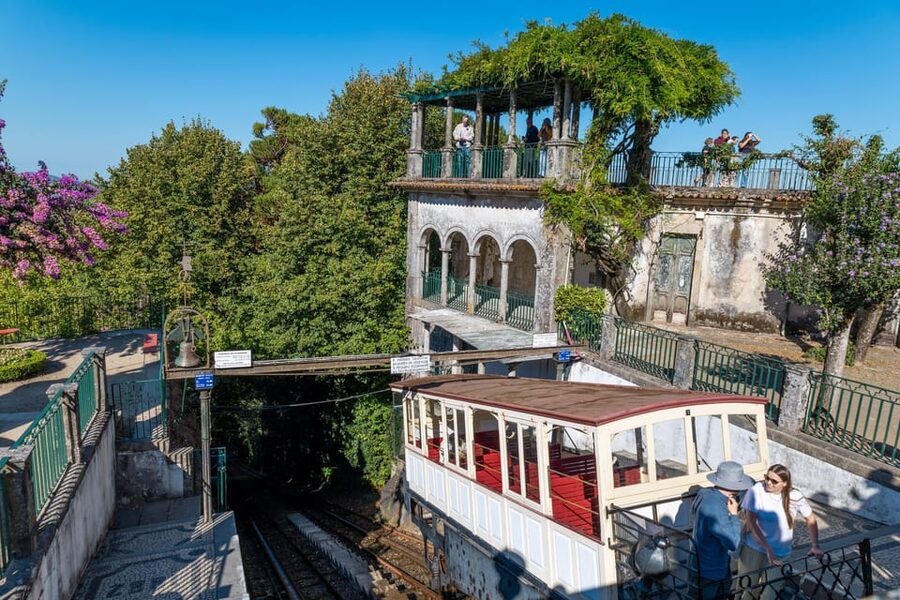 From Porto: Braga and Guimarães Full-Day Trip - Transport, group size, and the human side of the tour