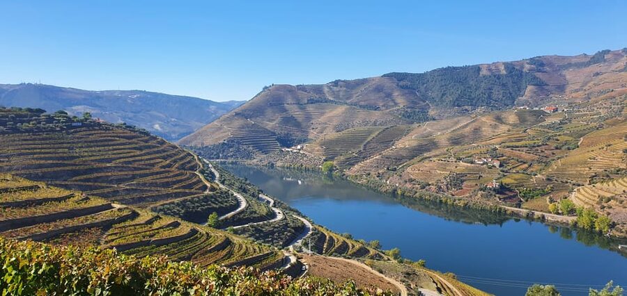 From Porto Day Douro Valley Wine Tour 2 Wine Tasting & Lunch - Pinhão and the valley from the road