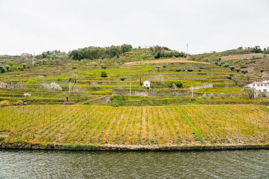 From Porto: Douro River Cruise to Régua with Lunch - Forty-five minutes in Peso da Régua