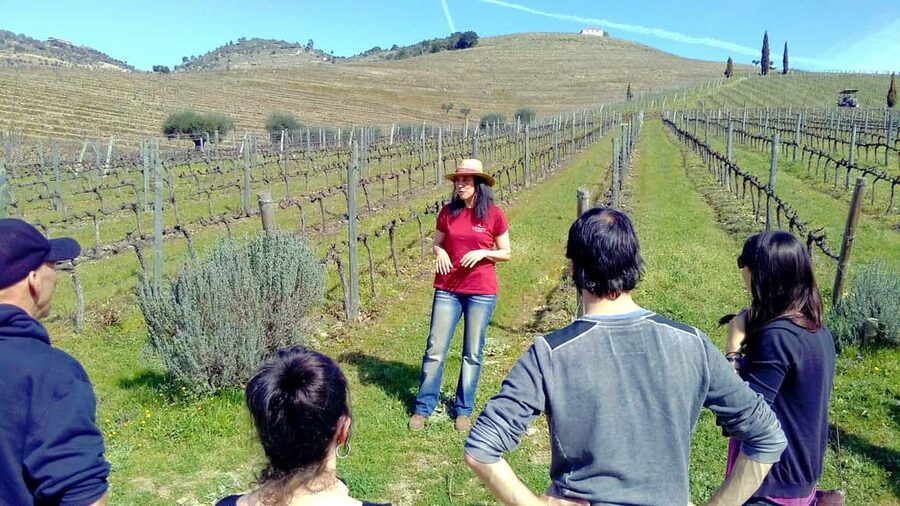 From Porto: Douro Valley 3 Vineyards Tour with Lunch - Your first vineyard sets the tone