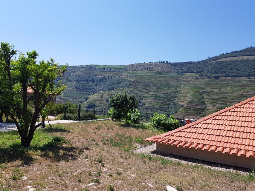 From Porto: Douro Valley 3 Vineyards Tour with Lunch - River views and the N222 drive