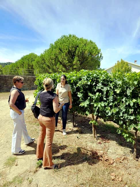 From Porto: Douro Valley 3 Vineyards Tour with Lunch - Leaving Porto for the Douro