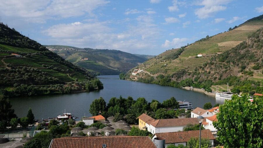 From Porto: Douro Valley Tour with Tastings, Boat & Lunch - Key points to know before you book
