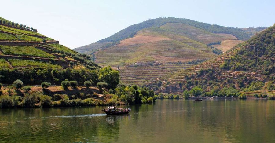 From Porto: Douro Valley Tour with Tastings, Boat & Lunch - The first family winery and Douro wine tasting