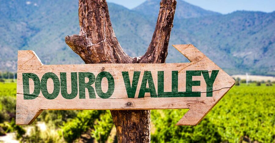 From Porto: Douro Valley w/ Boat Tour, Wine Tasting & Lunch - Who should book this Douro tour