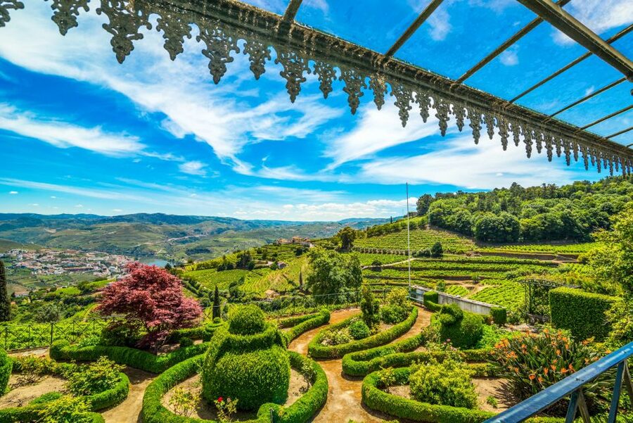 From Porto: Douro Valley w/ Boat Tour, Wine Tasting & Lunch - A proper Douro lunch in a wine cellar