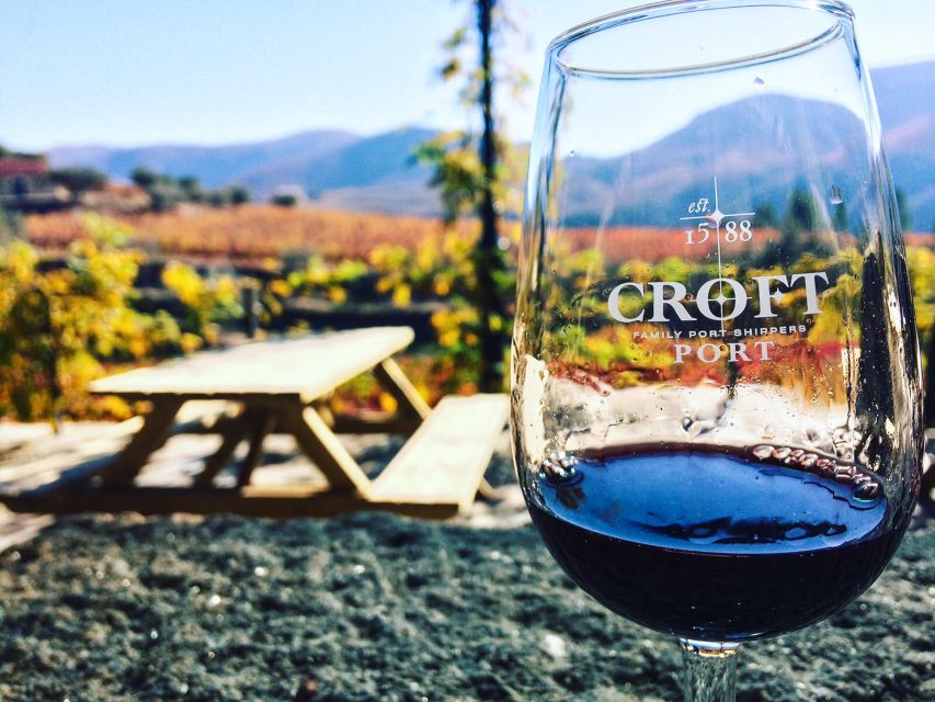 From Porto: Douro Valley w/ Boat Tour, Wine Tasting & Lunch - What the guides add to the day