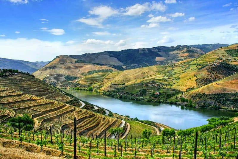 From Porto: Douro Valley with Wineries, Lunch and Boat Trip - Key points to know before you book