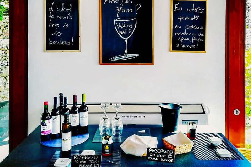 From Porto: Douro Valley with Wineries, Lunch and Boat Trip - Who should book this experience?