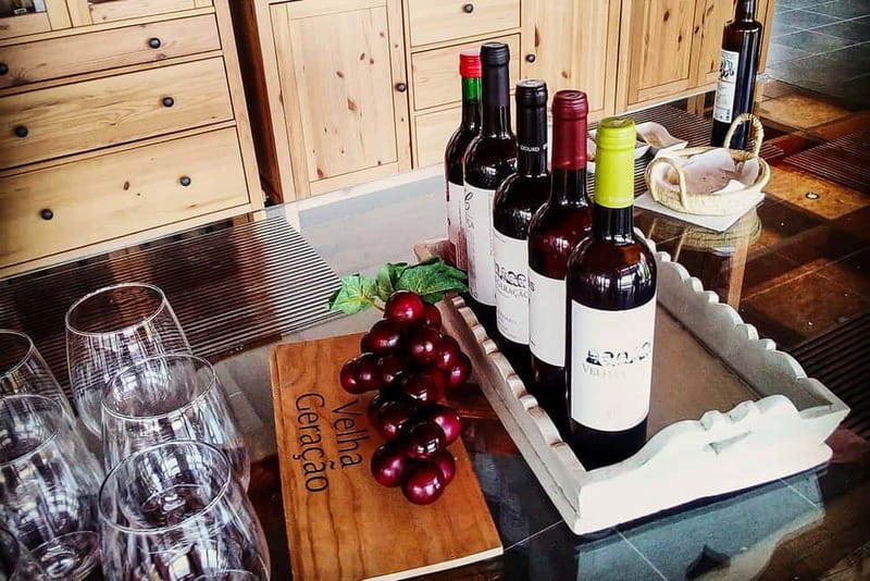 From Porto: Douro Valley with Wineries, Lunch and Boat Trip - Quinta do Seixo and the Port wine lesson
