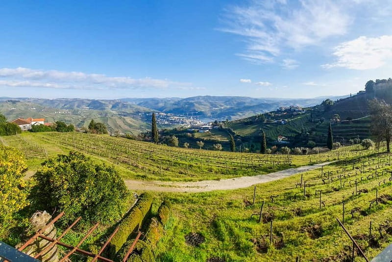 From Porto: Douro Valley with Wineries, Lunch and Boat Trip - A proper Portuguese lunch in Tabuaço