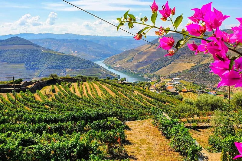 From Porto: Douro Valley with Wineries, Lunch and Boat Trip - The road east, with Amarante and Peso da Régua