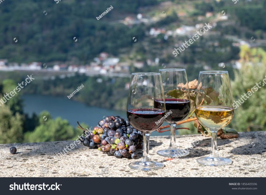 From Porto: Full-Day Douro Historical Tour - From Porto to Amarante in 50 minutes
