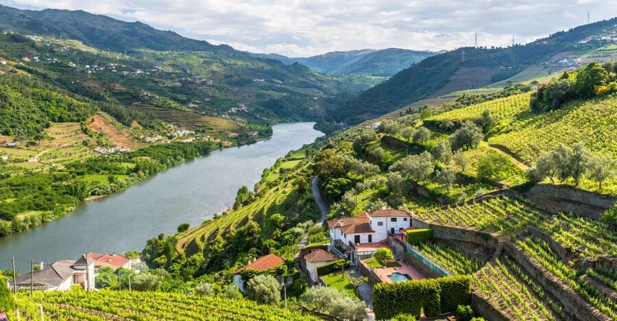 From Porto: Full-Day Douro Historical Tour - Amarante and the Monastery of Saint Gonçalo