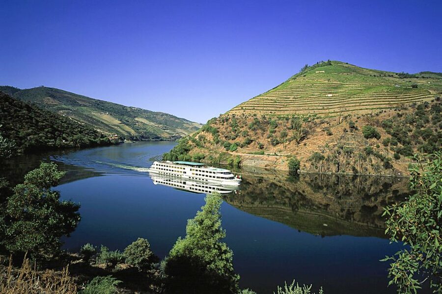 From Porto: Full-Day Douro Historical Tour - Lunch at a local restaurant