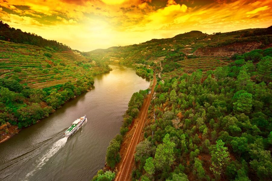From Porto: Full-Day Douro Historical Tour - What the $104 price really includes