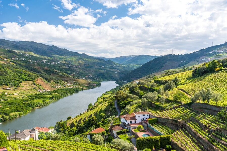 From Porto: Full-Day Douro Historical Tour - A viewpoint above the Douro hills