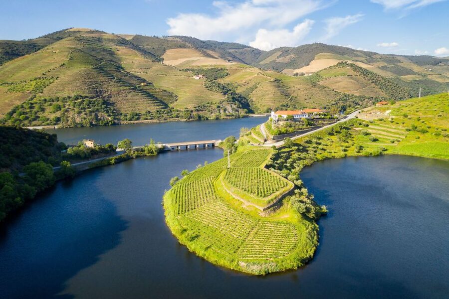 From Porto: Full-Day Douro Valley Trip - Régua and the first river views