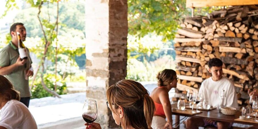 From Porto: Full-Day Douro Valley Trip - The second estate and a different point of view