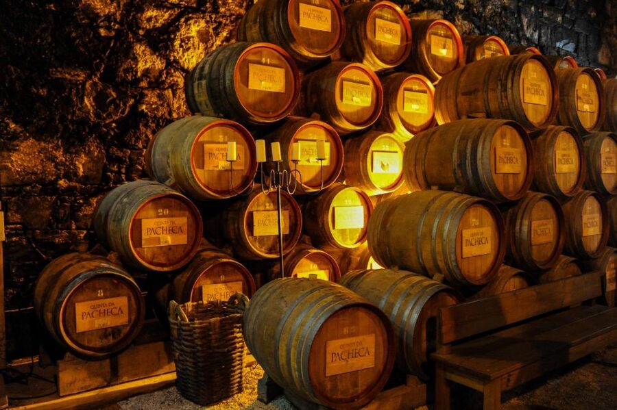 From Porto: Full-Day Douro Valley Trip - Pinhão, viewpoints, and the ride home