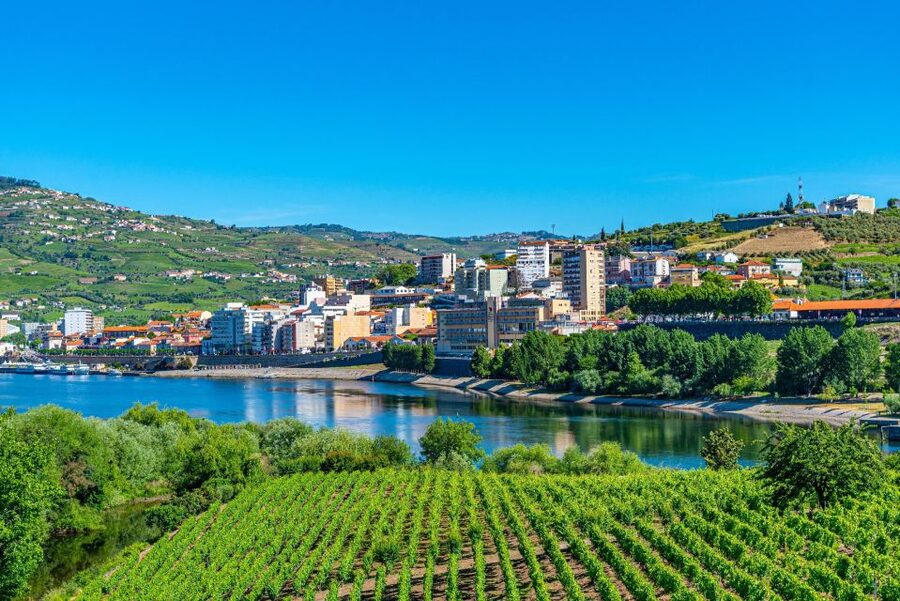 From Porto: Full-Day Douro Valley Trip - The guides can make or break the day