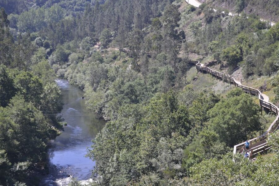 From Porto: Full-Day Paiva Walkways Tour - The 1.5-hour ride from Porto