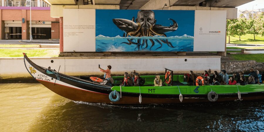 From Porto: Full-Day Trip to Coimbra & Aveiro with Boat Ride - Who will enjoy this tour most
