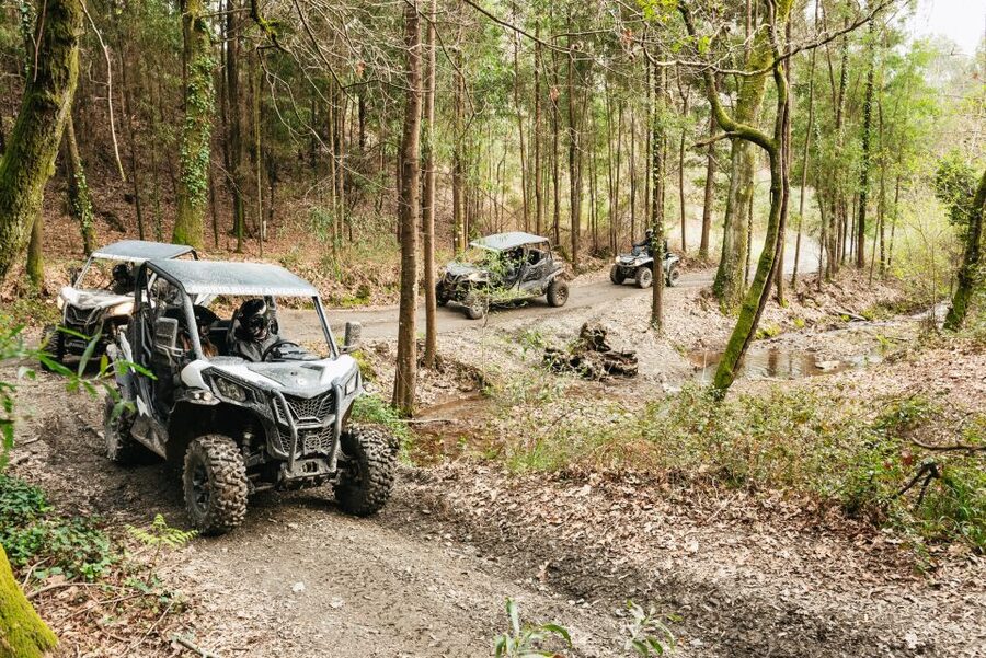 From Porto: Off-Road Buggy Adventure - Price, timing, and what the value looks like
