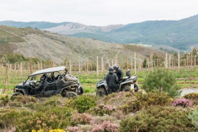 Off-Road Buggy Adventure
