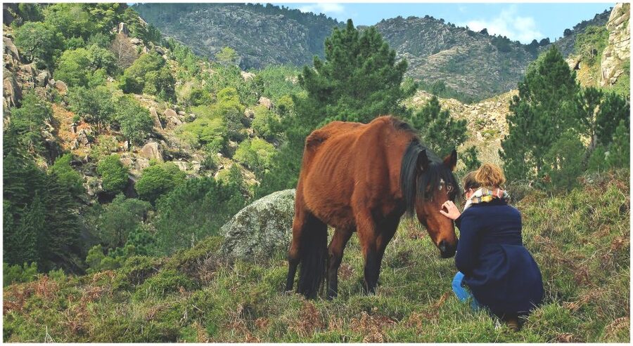 From Porto: Peneda-Gerês National Park Tour with Lunch - Small-group value and practical comfort