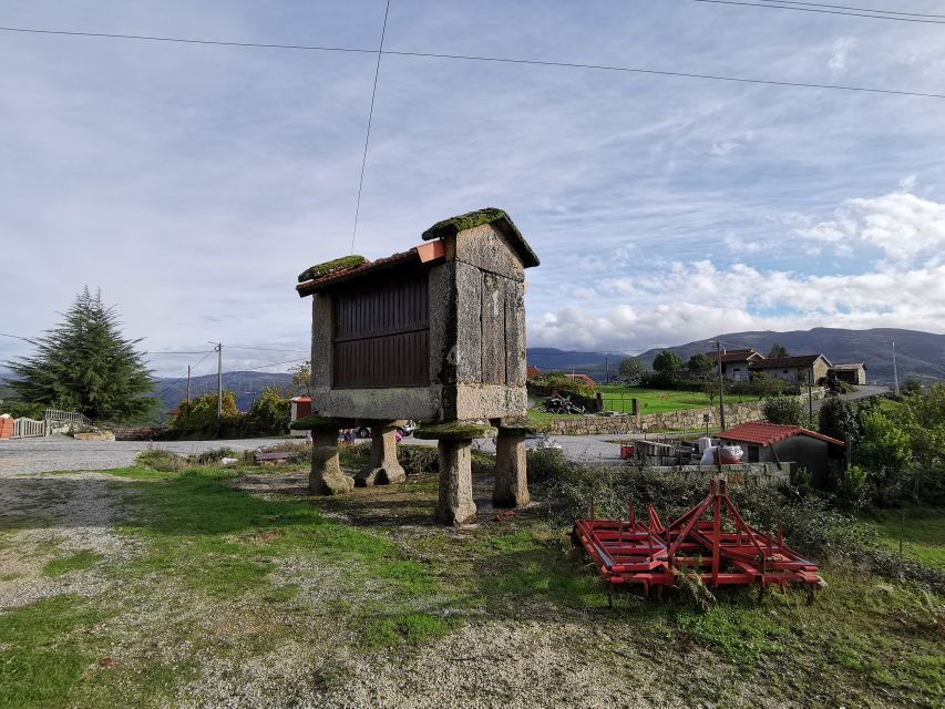 From Porto: Peneda-Gerês National Park Tour with Lunch - Weather, swimming, and changing plans